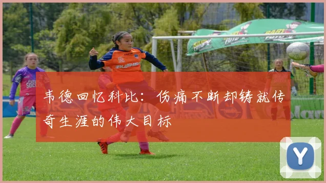 韦德回忆科比：伤痛不断却铸就传奇生涯的伟大目标